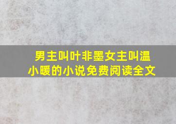 男主叫叶非墨女主叫温小暖的小说免费阅读全文