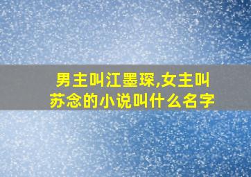 男主叫江墨琛,女主叫苏念的小说叫什么名字