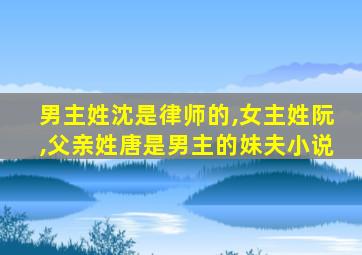 男主姓沈是律师的,女主姓阮,父亲姓唐是男主的妹夫小说