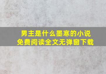 男主是什么墨寒的小说免费阅读全文无弹窗下载