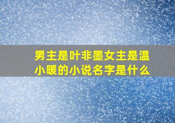 男主是叶非墨女主是温小暖的小说名字是什么