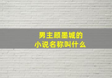 男主顾墨城的小说名称叫什么