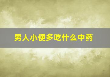 男人小便多吃什么中药