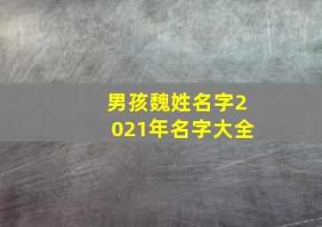 男孩魏姓名字2021年名字大全