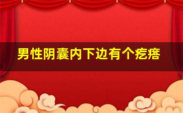 男性阴囊内下边有个疙瘩