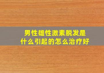 男性雄性激素脱发是什么引起的怎么治疗好