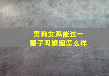 男狗女鸡能过一辈子吗婚姻怎么样