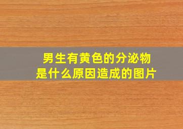 男生有黄色的分泌物是什么原因造成的图片