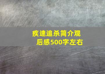 疾速追杀简介观后感500字左右