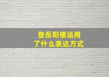 登岳阳楼运用了什么表达方式