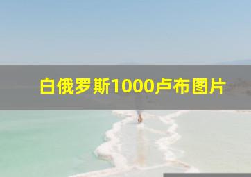 白俄罗斯1000卢布图片