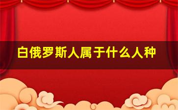 白俄罗斯人属于什么人种