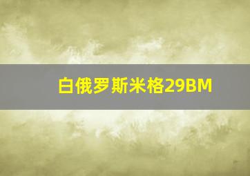 白俄罗斯米格29BM