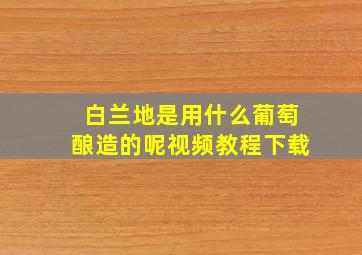 白兰地是用什么葡萄酿造的呢视频教程下载