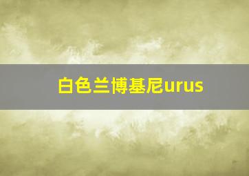 白色兰博基尼urus