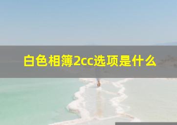 白色相簿2cc选项是什么