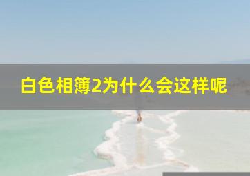 白色相簿2为什么会这样呢