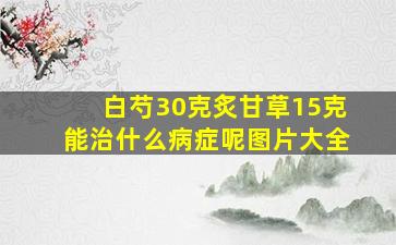 白芍30克炙甘草15克能治什么病症呢图片大全