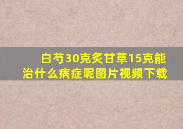 白芍30克炙甘草15克能治什么病症呢图片视频下载