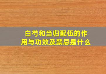 白芍和当归配伍的作用与功效及禁忌是什么