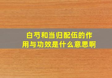 白芍和当归配伍的作用与功效是什么意思啊