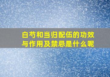 白芍和当归配伍的功效与作用及禁忌是什么呢