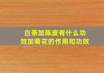 白茶加陈皮有什么功效加菊花的作用和功效