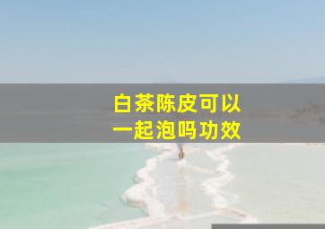 白茶陈皮可以一起泡吗功效