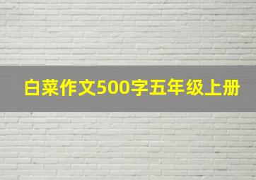 白菜作文500字五年级上册