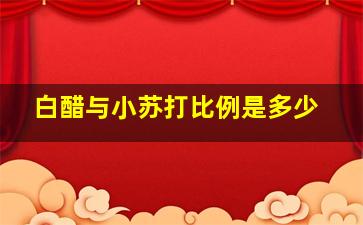 白醋与小苏打比例是多少