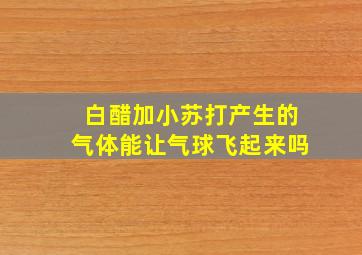 白醋加小苏打产生的气体能让气球飞起来吗