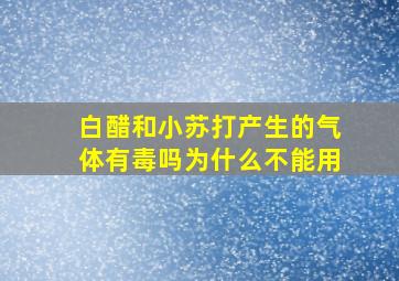 白醋和小苏打产生的气体有毒吗为什么不能用