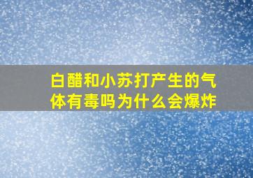 白醋和小苏打产生的气体有毒吗为什么会爆炸