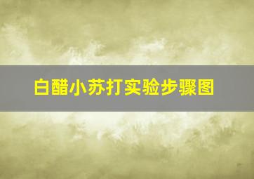 白醋小苏打实验步骤图