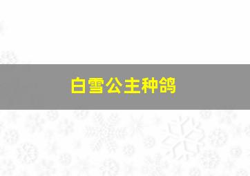 白雪公主种鸽