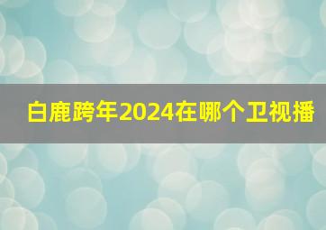 白鹿跨年2024在哪个卫视播