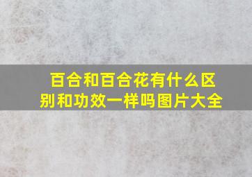 百合和百合花有什么区别和功效一样吗图片大全