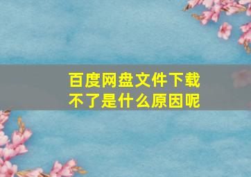 百度网盘文件下载不了是什么原因呢