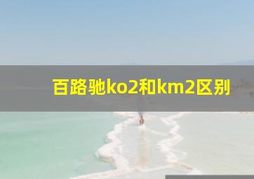 百路驰ko2和km2区别