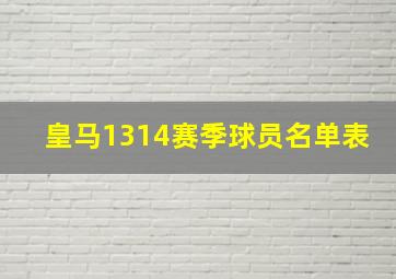 皇马1314赛季球员名单表