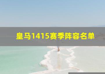 皇马1415赛季阵容名单