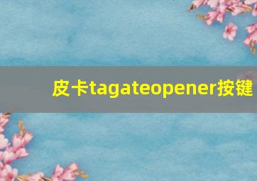 皮卡tagateopener按键