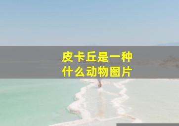 皮卡丘是一种什么动物图片