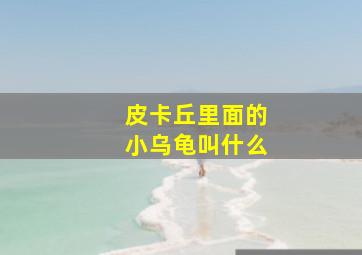 皮卡丘里面的小乌龟叫什么