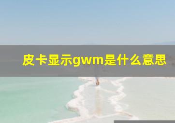 皮卡显示gwm是什么意思