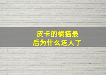 皮卡的橘猫最后为什么送人了