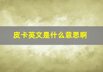 皮卡英文是什么意思啊