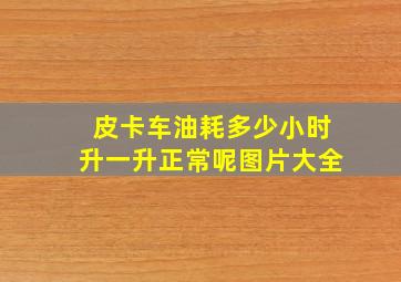 皮卡车油耗多少小时升一升正常呢图片大全