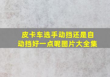 皮卡车选手动挡还是自动挡好一点呢图片大全集