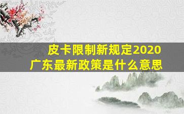 皮卡限制新规定2020广东最新政策是什么意思